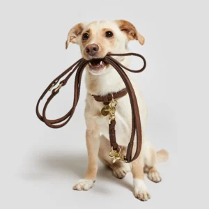 Collars,Harnesses&Leashes