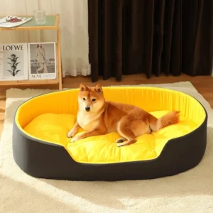 Bed&Furnitures