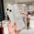 XS Max